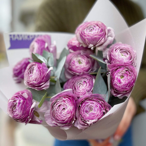 Ranunculus «Clooney Antoine» and Eucalyptus