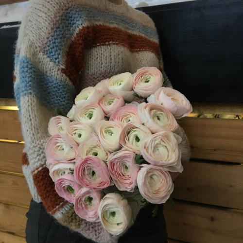 Ранункулюсы Клуни Ханой