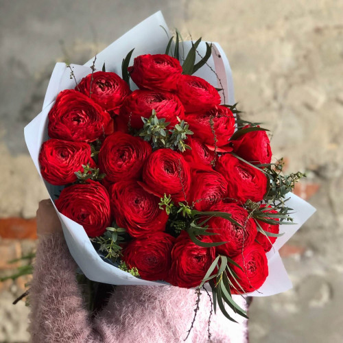 21 красный ранункулюс