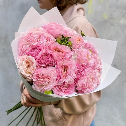 21 Gentle Ranunculus «Romance Maillane»