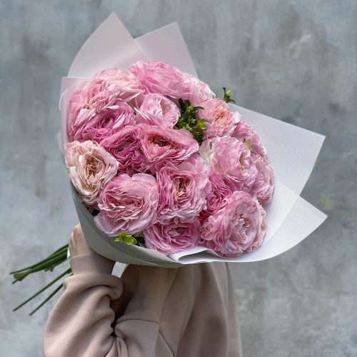 21 Gentle Ranunculus «Romance Maillane»