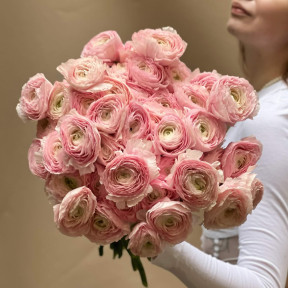Преміальний букет із зефірно-рожевих ранункулюсів «Мрія коханої»
