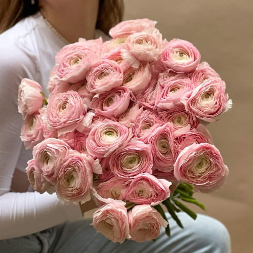 Преміальний букет із зефірно-рожевих ранункулюсів «Мрія коханої»