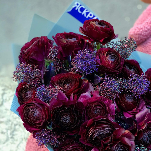 Космический ранункулюс «Clooney Nerone»