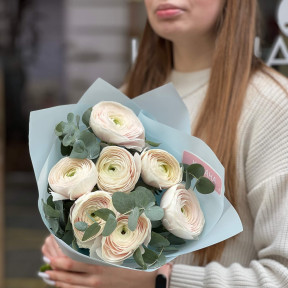 7 світлих ранункулюсів Clooney Hanoi та евкаліпт у букеті «Пудрова вишуканість»