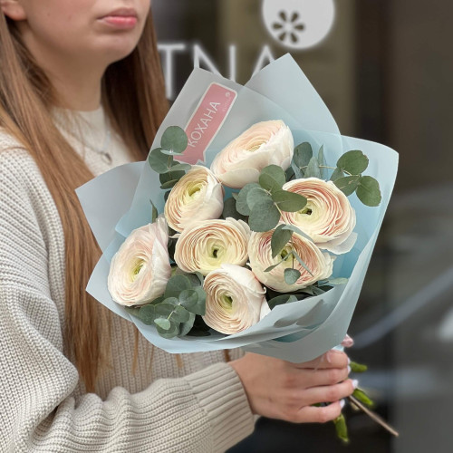 7 світлих ранункулюсів Clooney Hanoi та евкаліпт у букеті «Пудрова вишуканість»