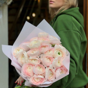 Ranunculus «Clooney Hanoi» - 21 pcs.