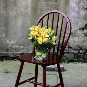 Сонячний снопик