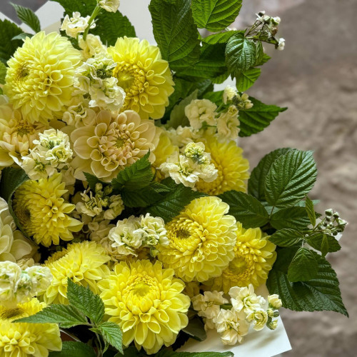 Радостный букет из георгин и маттиолы «Сливочное солнце»