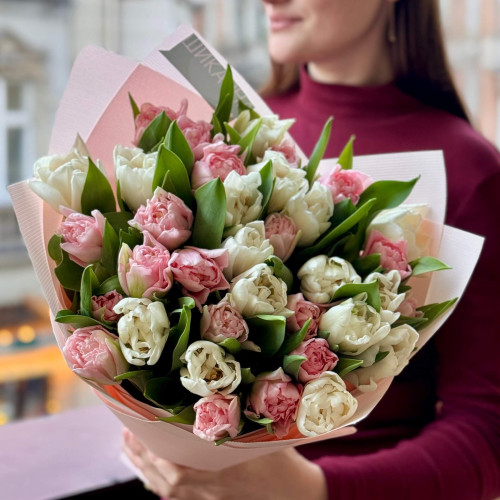 White and pink mix of peony shaped tulips «Spring Marshmallow»