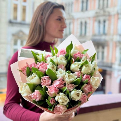 White and pink mix of peony shaped tulips «Spring Marshmallow»