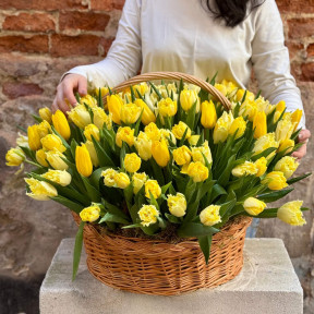 Весняний кошик із тюльпанів «Сонячний всесвіт»