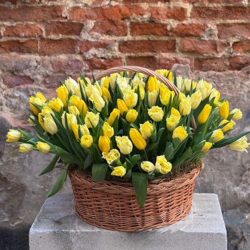 Весняний кошик із тюльпанів «Сонячний всесвіт»