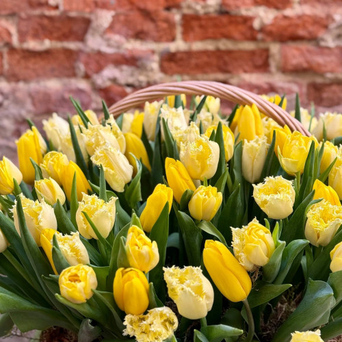 Весняний кошик із тюльпанів «Сонячний всесвіт»