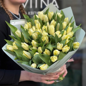 51 класичний тюльпан у букеті «Лимонне небо»