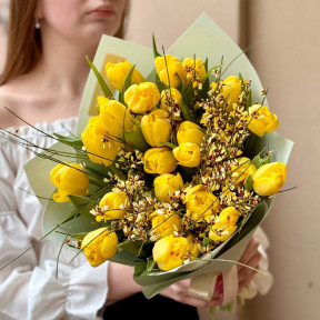 Bright bouquet of tulips and genista «Sunny aroma»