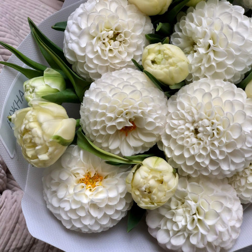 Цікавий букет із тюльпанів та жоржин «Весняна осінь»