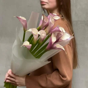 https://kvitna.ua/image/cache/webp/catalog/callas-bouquets/2/scdn-com-images-products-1-3438-968641902-5719-1-buket-iz-15-elegantnih-ekvadorskih-kall-ametistovi-strili-288x288.webp