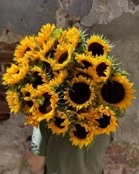 Bouquets of Sunflowers