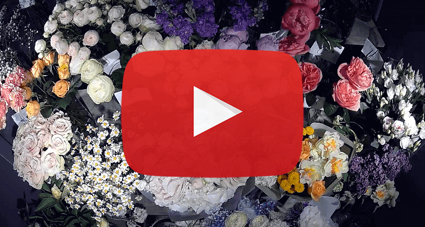 Kvitna.ua - Доставка квітів Львів.